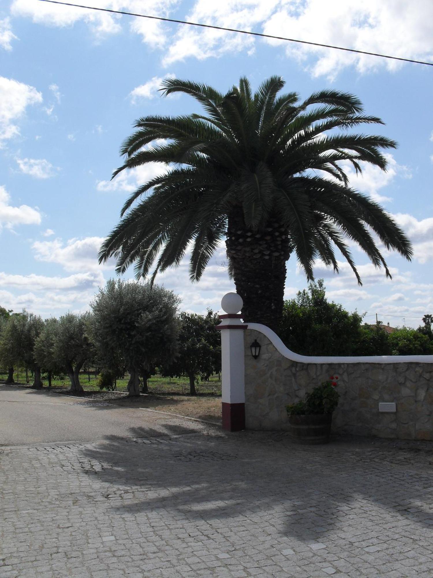 Hotel Terras De Monsaraz Reguengos de Monsaraz Exterior foto